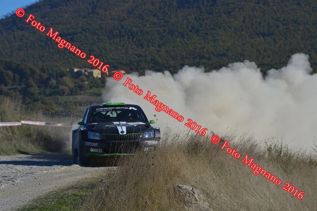 DSC_1694.JPG